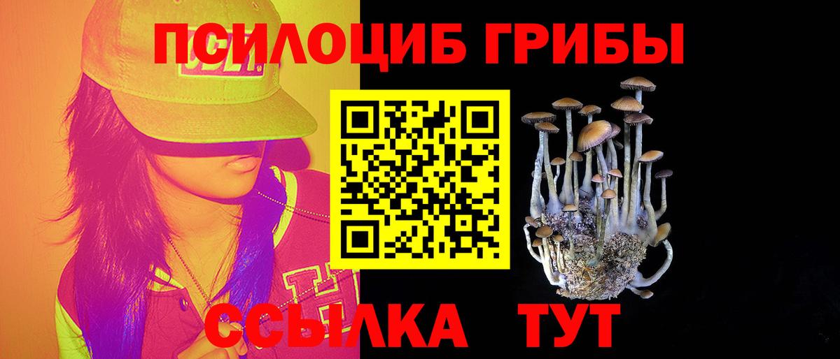 Псилоцибиновые грибы Cubensis  Вход с VPN  Галлюциногенные грибы мухоморы  Дятьково 